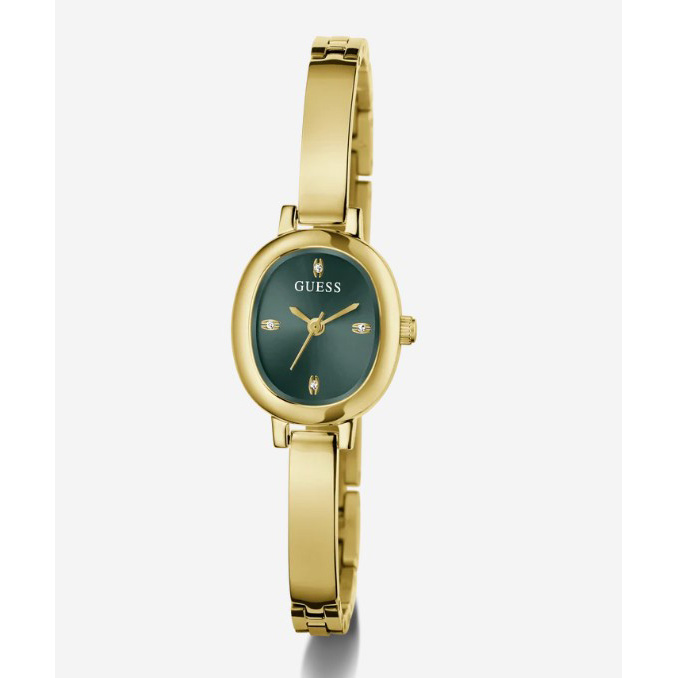 RELOJ GUESS GW0924L7